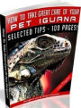 Pet Iguana eBook - How To Take Great Care Of Your Pet Iguana - Reliable Tips And Tactics To Raise Iguanas At Home!