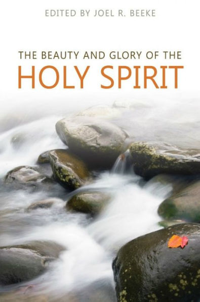 The Beauty and Glory of the Holy Spirit