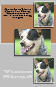 Title: Australian Cattle Dog Behavior & Training Tips, Author: Vince Stead