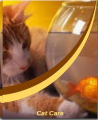 Title: Cat Care: In This Practical Guide On Cat Care Untold Secrets About Pet Health Care, Cat Diabetes, Cat Illness Symptoms and More Will Be Revealed, Author: Millicent Jordan