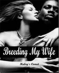 Title: Breeding My Wife - Hardcore Pregnancy Penetration - Slut Wife Seduction- Interracial-Erotica, Author: Haley's Comet