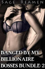 Banged by my Billionaire Bosses Bundle 2: Doubling Up (DP Menage Dominant Male Erotica)