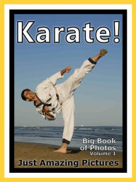 Title: Just Karate Sport Photos! Big Book of Photographs & Pictures of Sports Karate Martial Arts, Vol. 1, Author: Big Book of Photos