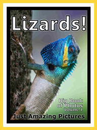 Title: Just Lizard Reptile Photos! Big Book of Photographs & Pictures of Lizards Reptiles, Vol. 1, Author: Big Book of Photos