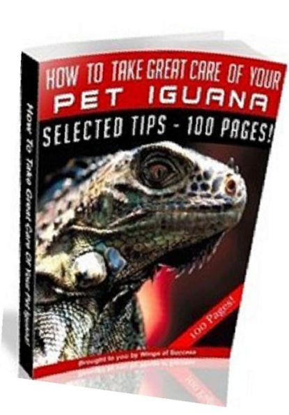 eBook about How To Take Great Care Of Your Pet Iguana - Planning A Comfortable Habitat For Your Iguana ..