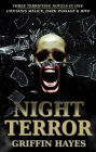 Night Terror (Contains Malice and Dark Passage)