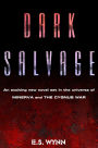 Dark Salvage