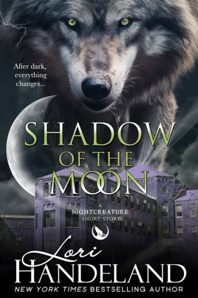 Shadow of the Moon: A Sexy Shifter Paranormal Romance Short Story