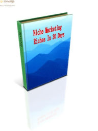 Title: Niche Marketing Riches In 30 Days, Author: Alan Smith