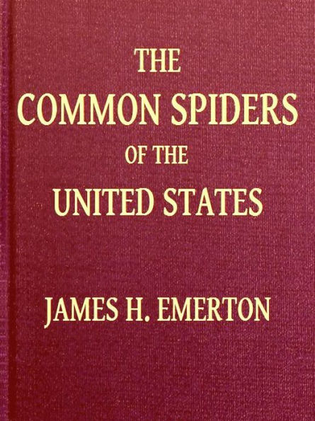 The Common Spiders of the United States