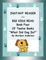 INSTANT READER ~~ Big Kids Read Book Four of Twelve Books: 