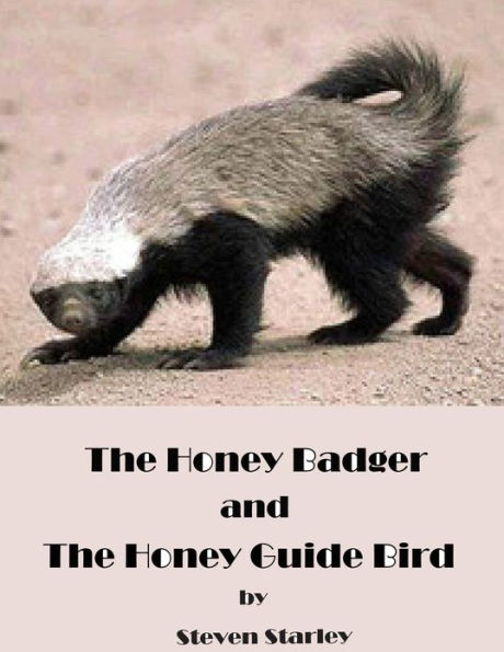 The Honey Badger and the Honey Guide Bird