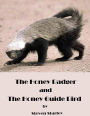 The Honey Badger and the Honey Guide Bird