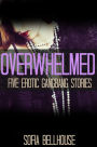 Overwhelmed: Five Erotic Gangbang Stories