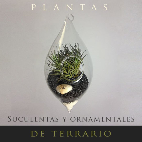 Plantas Suculentas Y Ornamentales De Terrario