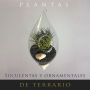 Plantas Suculentas Y Ornamentales De Terrario