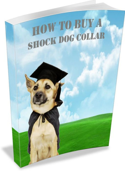 How To Buy A Shock Dog Collar: Get The Facts! AAA+++