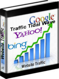 Title: Website Traffic - Traffic Tidal Wave: How To Send Tons Of Targeted Buyers To Your Website, Author: John Reese