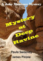 Mystery At Deep Ravine