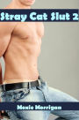 Stray Cat Slut 2 (shapeshifter homosexual erotica, anal, oral, semi-public sex)