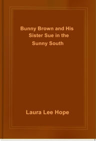 Title: Bunny Brown and His Sister Sue in the Sunny South, Author: Laura Lee Hope