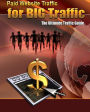 Paid Website Traffic for BIG Traffic
