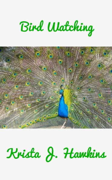 Bird Watching Enthusiasts Best Guide