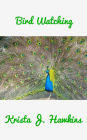 Bird Watching Enthusiasts Best Guide