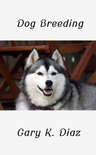 Dog Breeding And Caring – A Beginner's Complete Guide