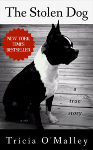 Title: The Stolen Dog, Author: Tricia O'Malley