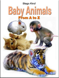 Title: Baby Animals From A to Z, Author: Blago Kirof