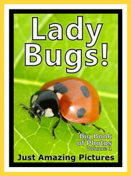 Title: Just Ladybug Photos! Big Book of Lady Bug Photographs & Bugs Pictures of Ladybugs, Vol. 1, Author: Big Book of Photos