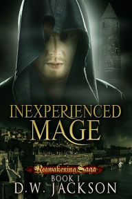 Title: Inexperienced Mage, Author: D.W. Jackson