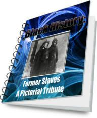 Title: Black History: Former Slaves A Pictorial Tribute, Author: Glenda Thomas