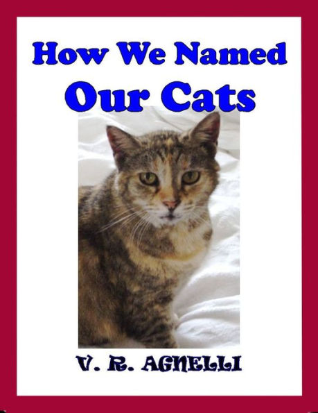 How We Named Our Cats