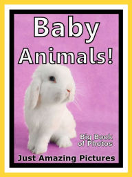 Title: Just Baby Animal Photos! Big Book of Photographs & Pictures of Baby Animals, Vol. 5, Author: Big Book of Photos