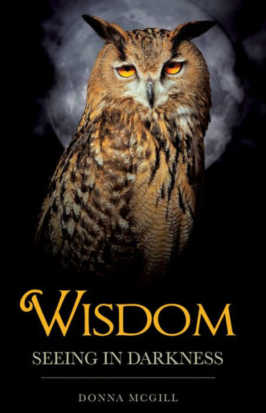 Wisdom Seeing in Darkness