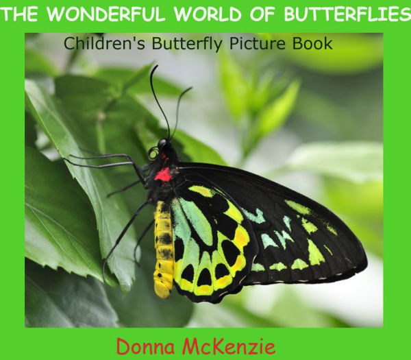 The Wonderful World of Butterflies:Children's Butterfly Picture Book