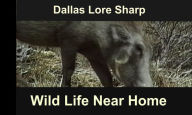 Title: Wild Life Near Home, Author: Dallas Lore Sharp