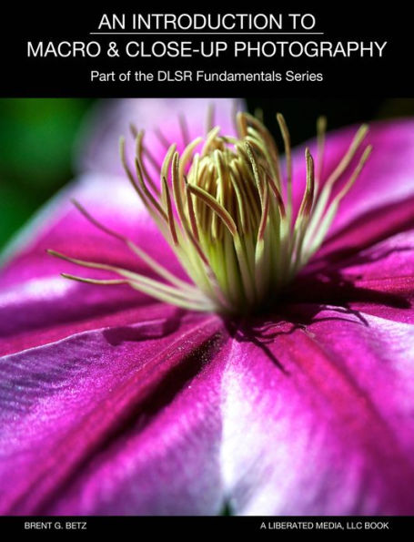 An Introduction To Macro And Close Up Photography: Part Of The DSLR Fundamentals Series