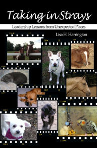 Title: Taking in Strays: Leadership Lessons from Unexpected Places, Author: Lisa H. Harrington