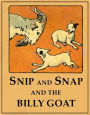 Snip and Snap and the Billy Goat