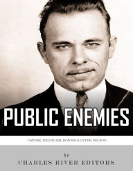 Title: Public Enemies: Al Capone, John Dillinger, Bonnie & Clyde, and Baby Face Nelson, Author: Charles River Editors