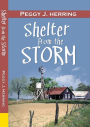 Shelter From the Storm