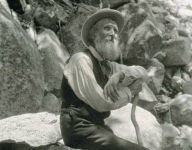 Title: The Writings of John Muir, Author: John Muir