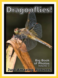 Title: Just Dragonfly Photos! Big Book of Photographs & Pictures of Dragonflies, Vol. 1, Author: Big Book of Photos