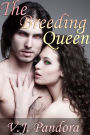The Breeding Queen (Demon Breed Pregnant Vampire)
