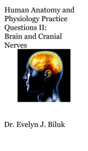 Title: Human Anatomy and Physiology Practice Questions II: Brain and Cranial Nerves, Author: Dr. Evelyn J Biluk