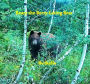 Beary the Berry-Eating Bear