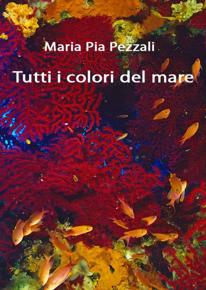 Tutti i colori del mare